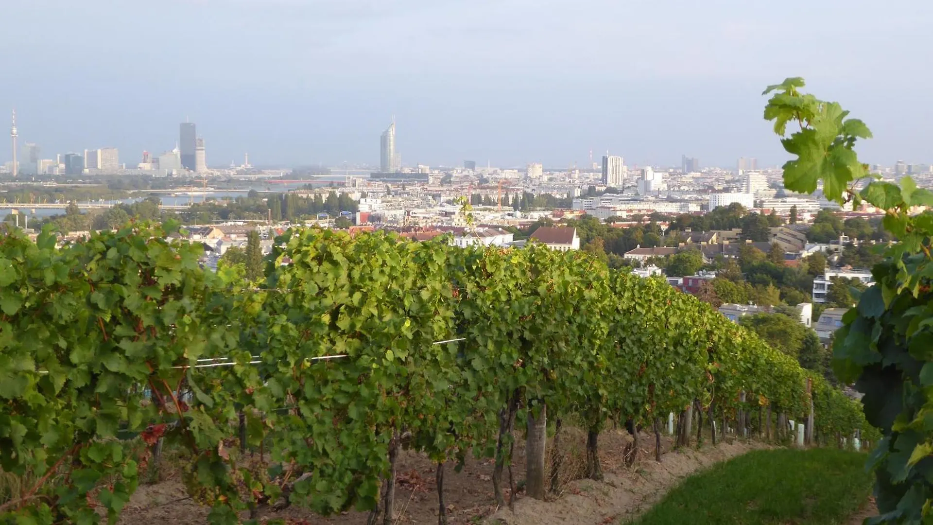 Wohnen Im Schoensten Viertel Wiens Österreich